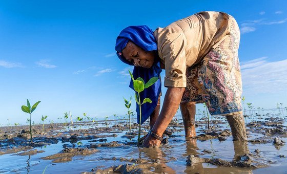 Protéger les zones humides, c'est protéger la biodiversité